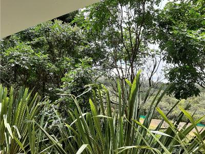 Casa de 4 alcobas en venta en Pantanillo Cebadero, Envigado, 600 m² · foto 14 de 20