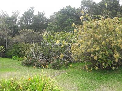 Casa de 5 alcobas en venta en Alto De Las Palmas, Envigado, 320 m² · foto 7 de 7