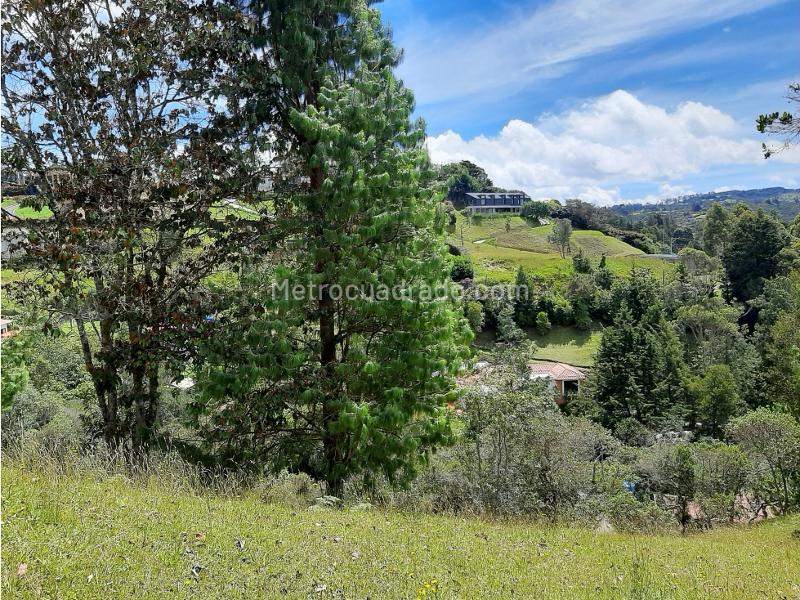 Lote en Venta, Alto De Las Palmas, Envigado - Vista 2