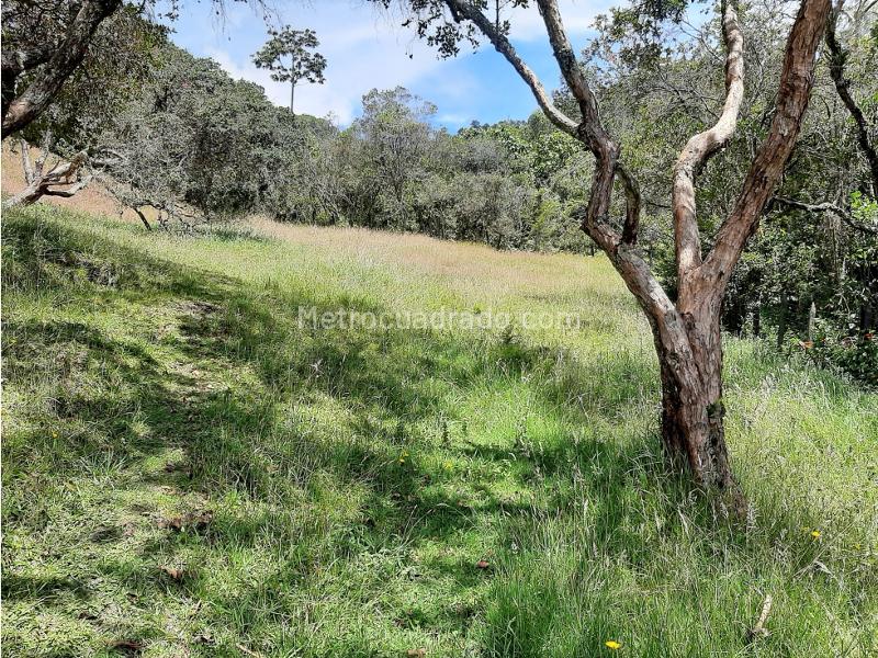 Lote en Venta, Alto De Las Palmas, Envigado - Vista 4