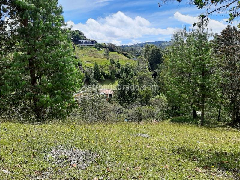 Lote en Venta, Alto De Las Palmas, Envigado - Vista 5