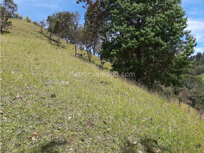 Lote en Venta, Alto De Las Palmas, Envigado - Más