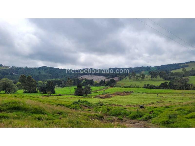 Lote en Venta, Variante Aeropuerto, Envigado - Vista 2