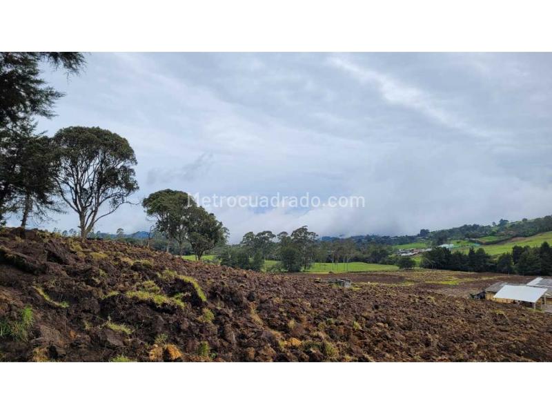 Lote en Venta, Variante Aeropuerto, Envigado - Vista 3