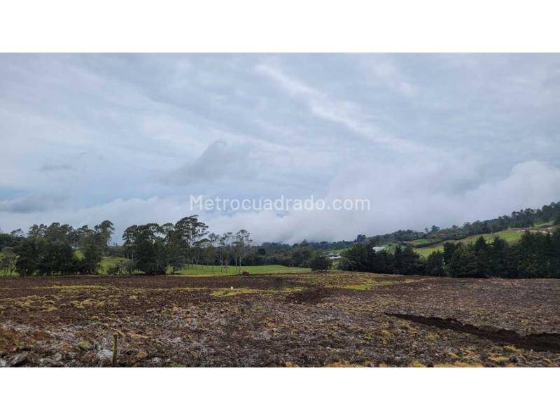 Lote en Venta, Variante Aeropuerto, Envigado - Vista 4