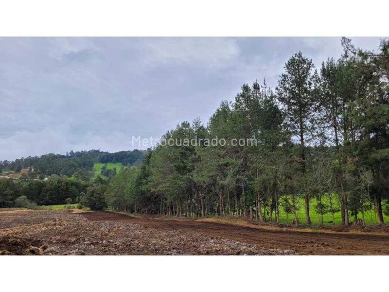Lote en Venta, Variante Aeropuerto, Envigado - Vista 5