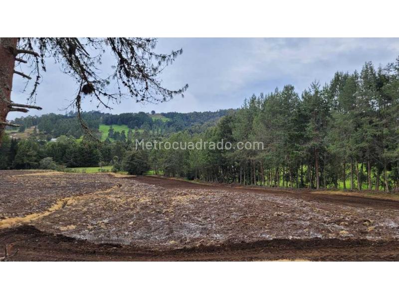 Lote en Venta, Variante Aeropuerto, Envigado - Más
