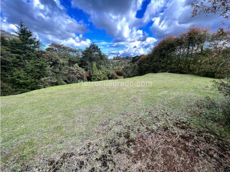 Lote en Venta, Variante Aeropuerto, Envigado - Vista 3