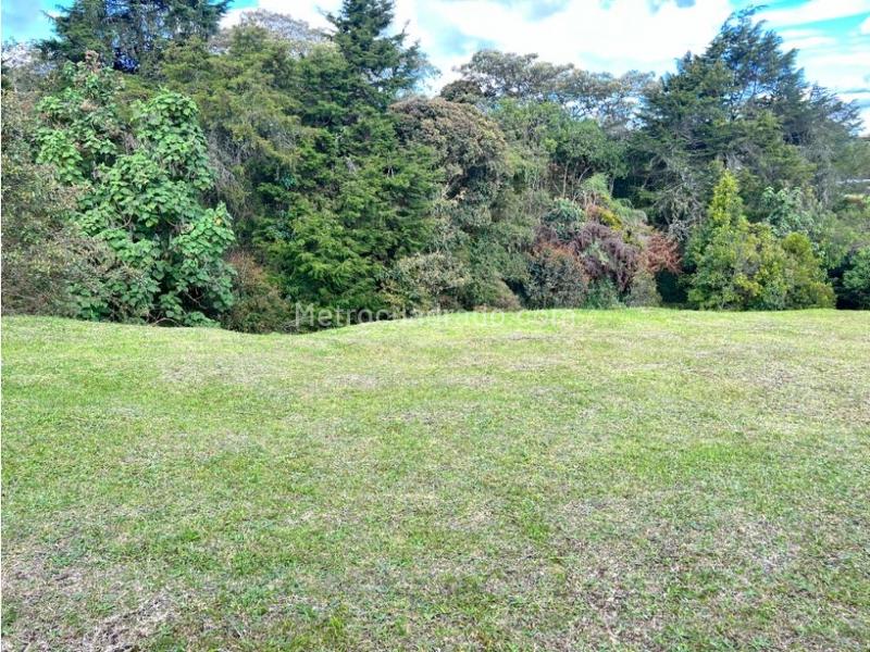 Lote en Venta, Variante Aeropuerto, Envigado - Vista 5
