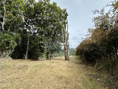Lote en Venta, las palmas envigado, Envigado