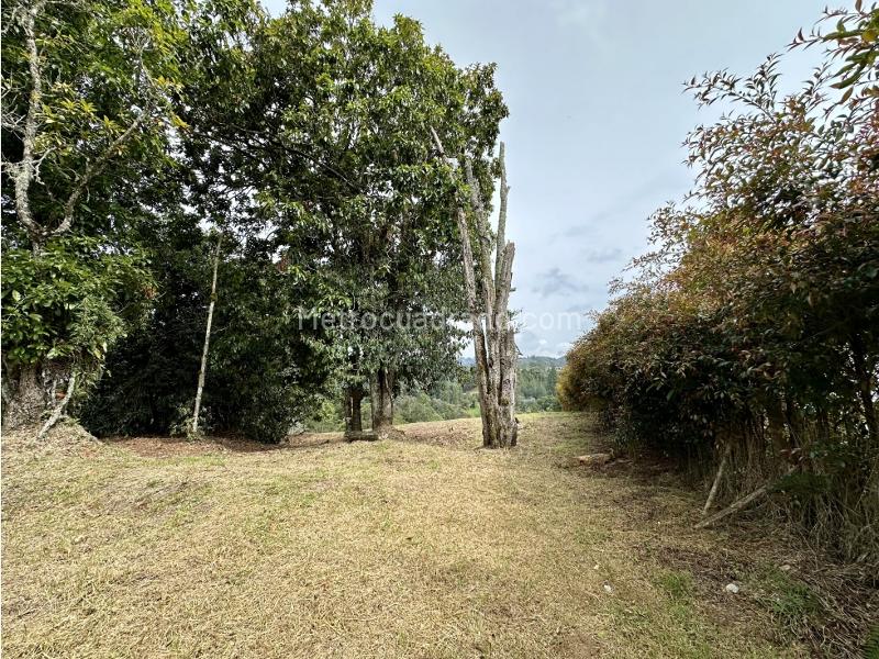 Lote en Venta, las palmas envigado, Envigado - Vista 2