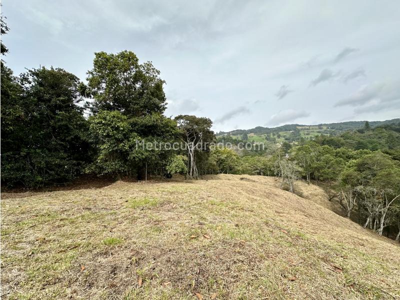 Lote en Venta, las palmas envigado, Envigado - Vista 3