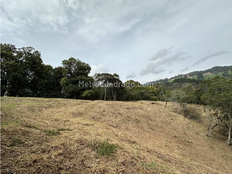Lote en Venta, las palmas envigado, Envigado - Vista 4