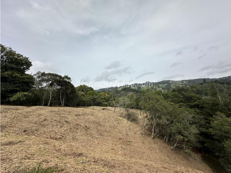 Lote en Venta, las palmas envigado, Envigado - Vista 5