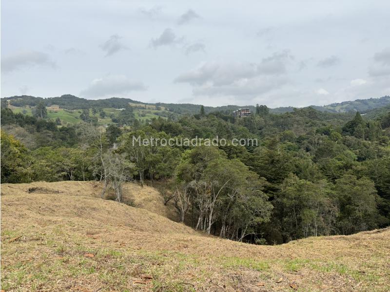 Lote en Venta, las palmas envigado, Envigado - Más