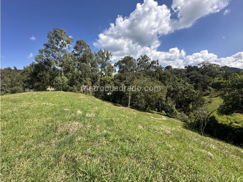 Lote en Venta, Alto De Las Palmas, Envigado - Vista 5