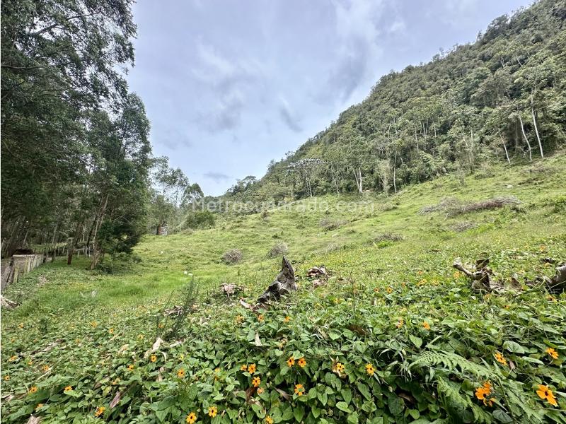 Lote en Venta, Via Don Diego Llanogrande, Rionegro - Vista 2