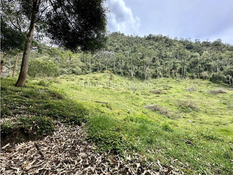 Lote en Venta, Via Don Diego Llanogrande, Rionegro - Vista 3