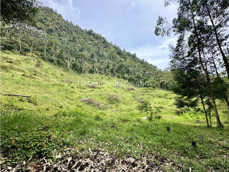 Lote en Venta, Via Don Diego Llanogrande, Rionegro - Vista 4