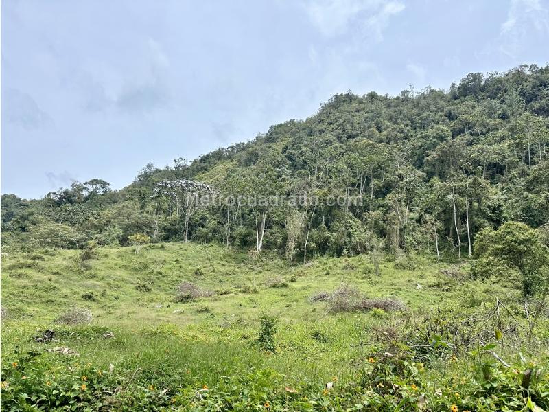 Lote en Venta, Via Don Diego Llanogrande, Rionegro - Vista 5