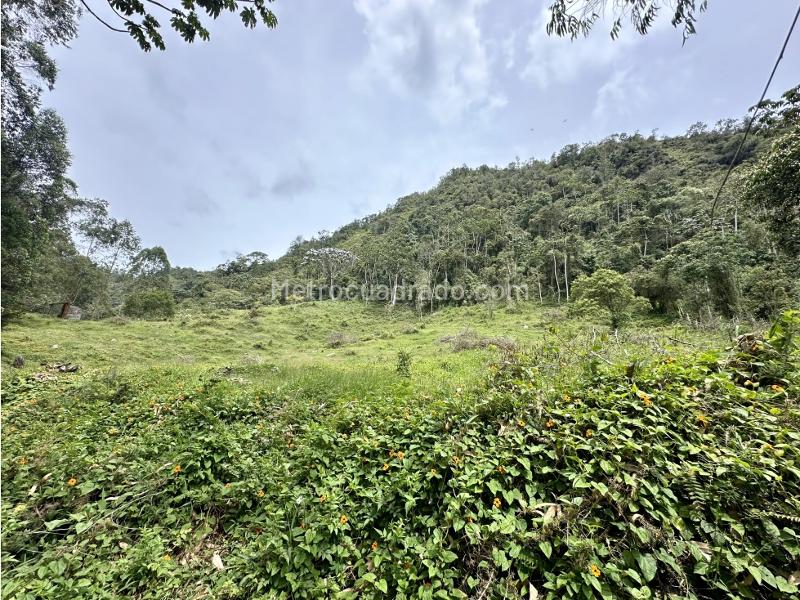 Lote en Venta, Via Don Diego Llanogrande, Rionegro - Más