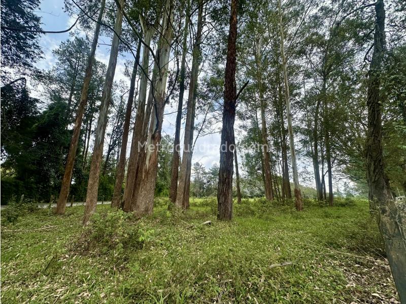 Lote en Venta, Vilachuaga, Rionegro - Vista 2