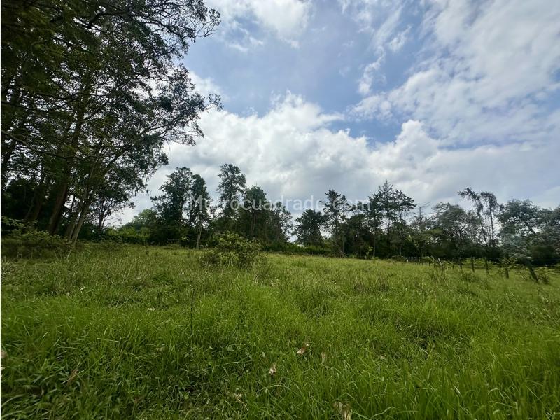 Lote en Venta, Vilachuaga, Rionegro - Vista 3