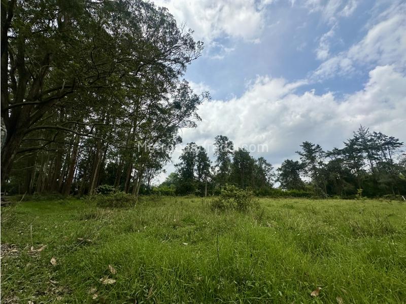 Lote en Venta, Vilachuaga, Rionegro - Vista 4