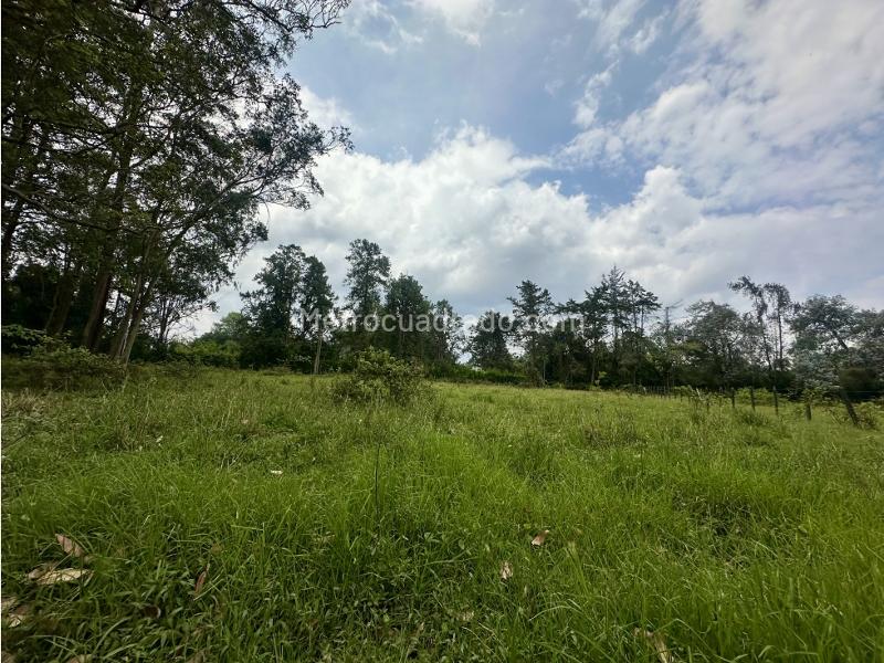 Lote en Venta, Vilachuaga, Rionegro - Vista 5