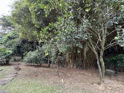 Casa de 4 alcobas en venta en El Poblado, Medellín, 300 m² · foto 3 de 19