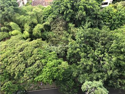 Apartamento de 3 alcobas en venta en Santa Teresita, Cali, 212 m² · foto 11 de 20