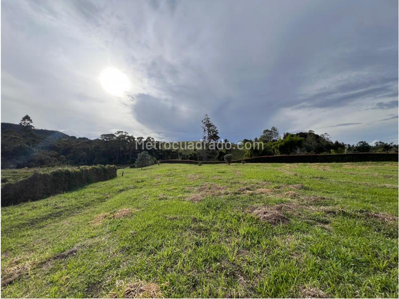 Lote en Venta, Rionegro, Rionegro - Más