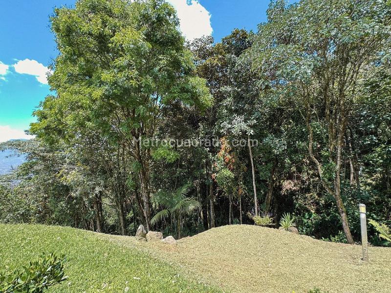 Unique 4BR Mansion in Alto De Las Palmas - 3