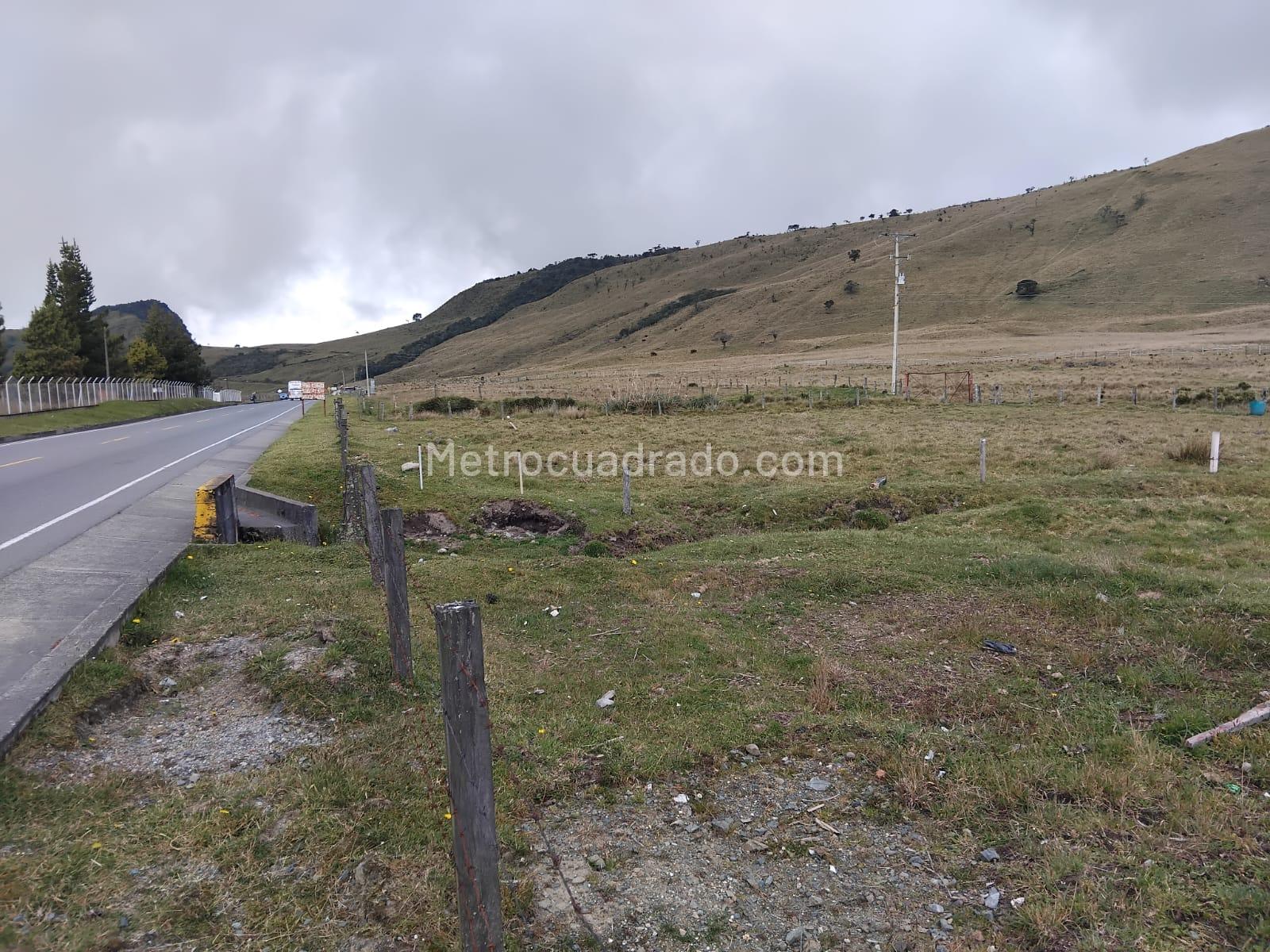 16492 Venta de Casa lote en Via manizales herveo tolima - Manizales - 16492 ...