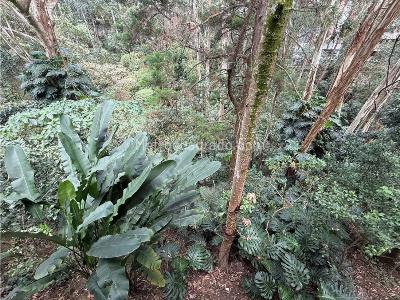 Casa de 3 alcobas en venta en Loma Benedictinos, Envigado, 274 m² · foto 5 de 20