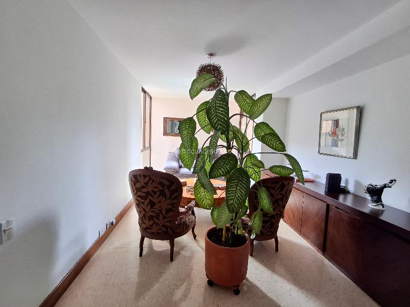 Spacious 4BR Apartment in Los Balsos - 5