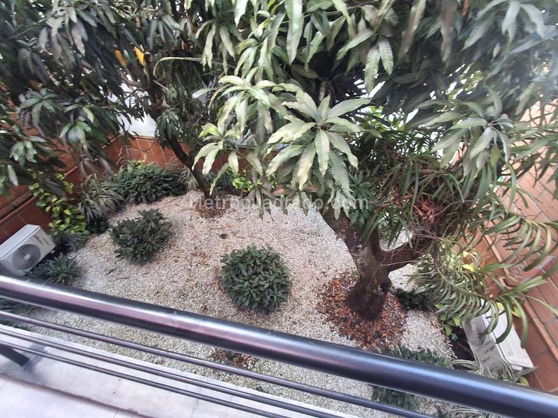 Casa Comercial en Alquiler en Estadio - 2