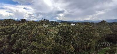 Apartamento en arriendo en San Nicolas, Rionegro · foto 8 de 19