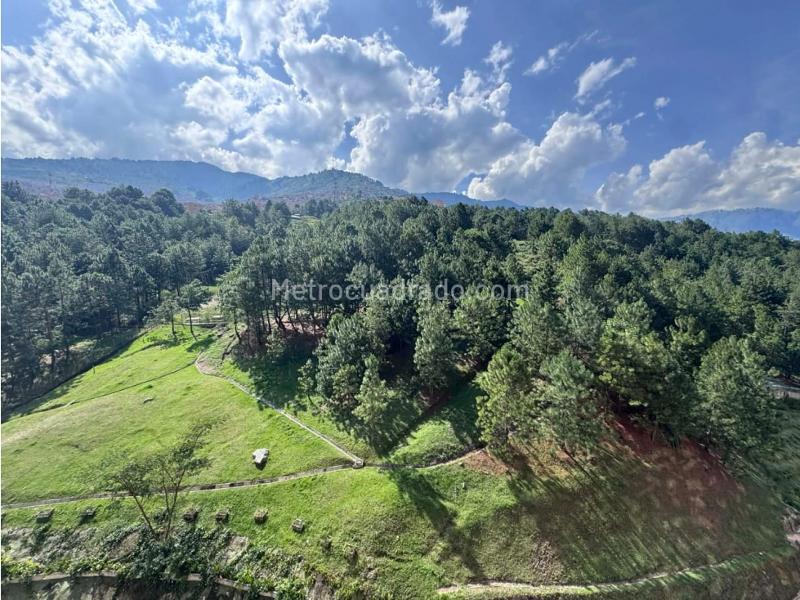 Apartamento en Arriendo, Amazonia, Bello - Widok 4