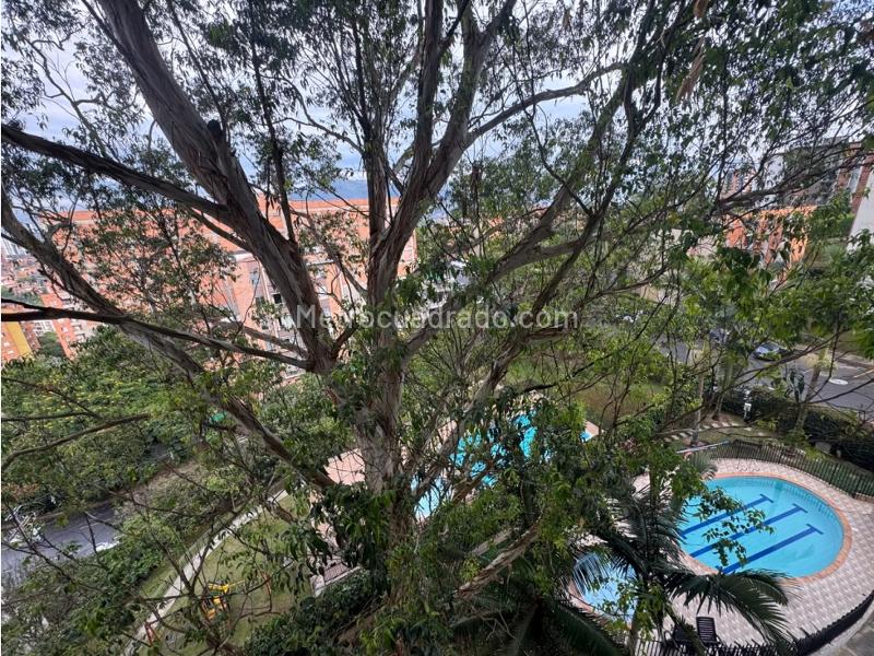Piso – Envigado - Vista 4