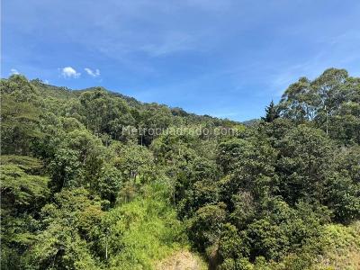 Apartamento de 3 alcobas en arriendo en La Calera, Medellín, 140 m² · foto 5 de 9