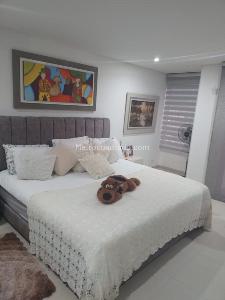 Apartamento de 3 alcobas en venta en Cañaveral, Floridablanca, 483 m² · foto 4 de 17