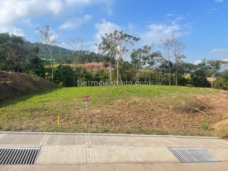 Lote en Venta, BOSQUE MASARYK RUITOQUE BAJO, Floridablanca - Veduta 3