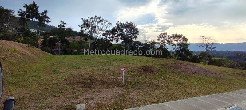Lote en Venta, BOSQUE MASARYK RUITOQUE BAJO, Floridablanca - Veduta 2