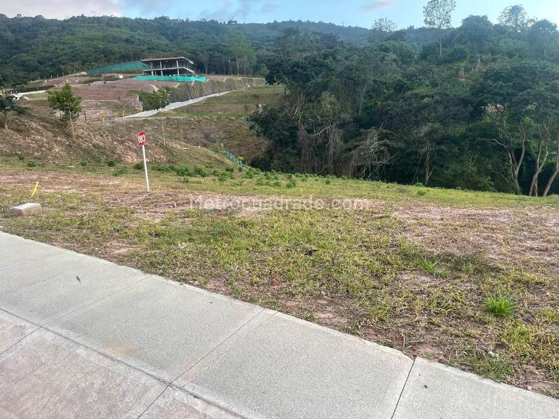 Lote en Venta, BOSQUE MASARYK, Floridablanca - Ansicht 2