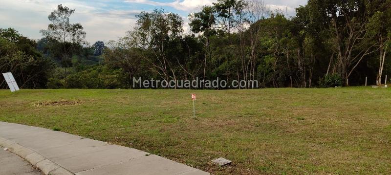 Lote en Venta, BOSQUE MASARYK, Floridablanca – pohled 3