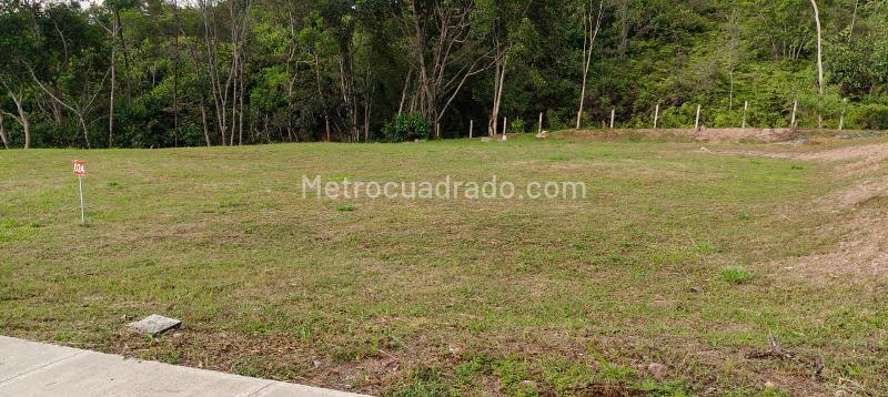 Lote en Venta, BOSQUE MASARYK, Floridablanca – pohled 4