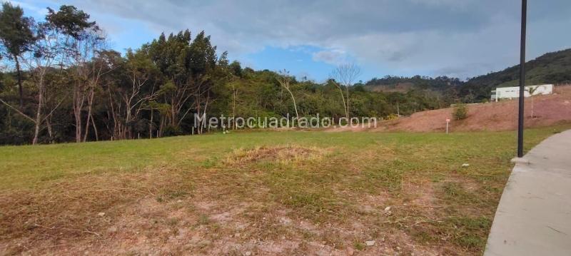 Lote en Venta, BOSQUE MASARYK, Floridablanca – pohled 5
