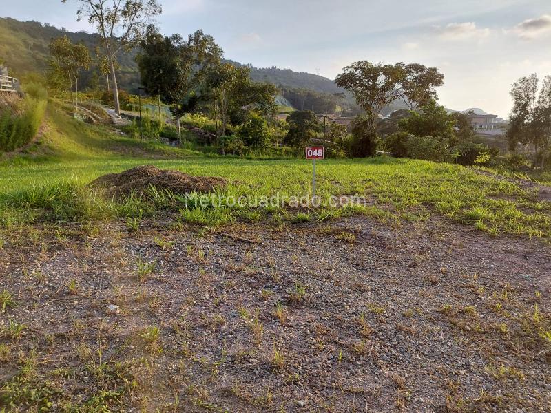 Lote en Venta, BOSQUE MASARYK, Floridablanca - Widok 3