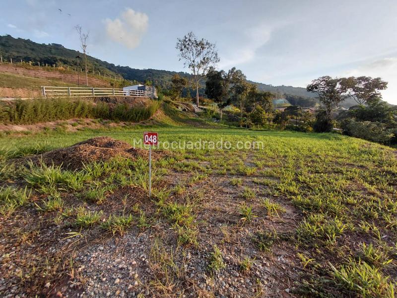 Lote en Venta, BOSQUE MASARYK, Floridablanca - Widok 2